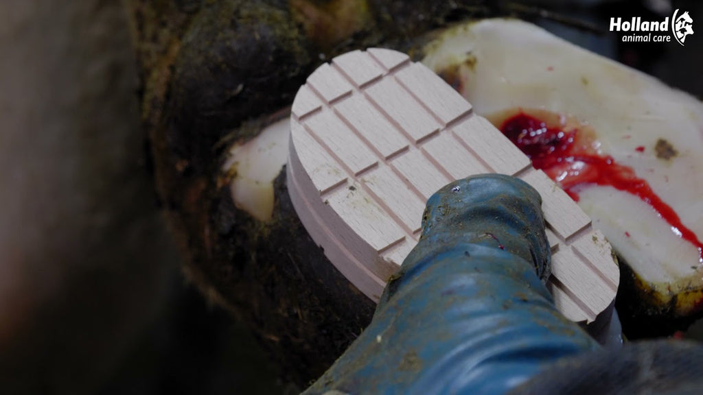 Excellent Easy Hoof Block Holz - 11 cm