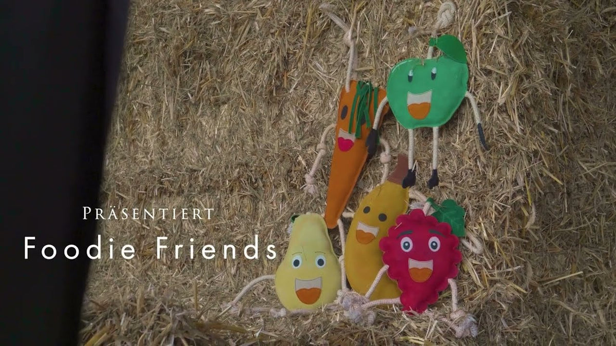 Excellent Horse Foodie Friends Carrot