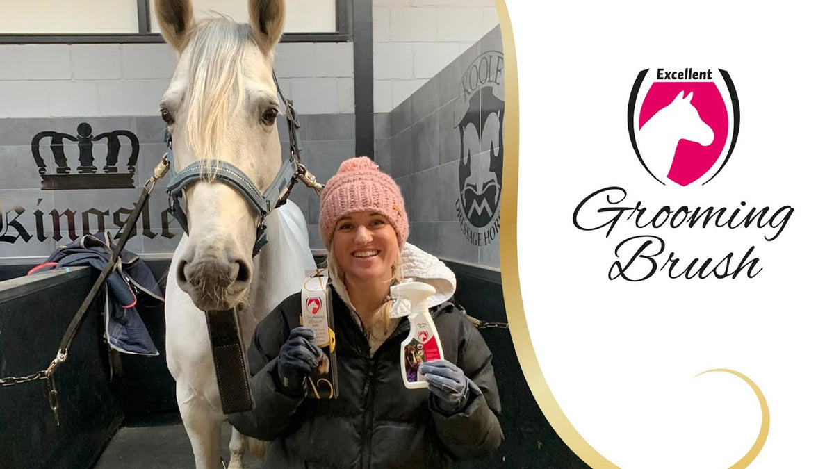 Excellent Horse Grooming Brush M Rosa