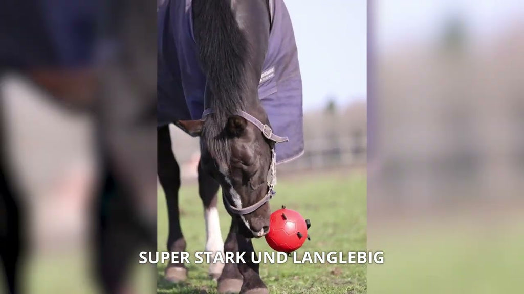 Excellent Horse Fun Play Ball Grün