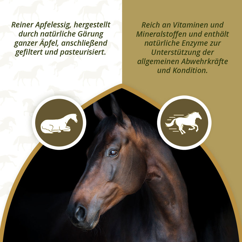 Excellent Horse Apple Vinegar 1 l