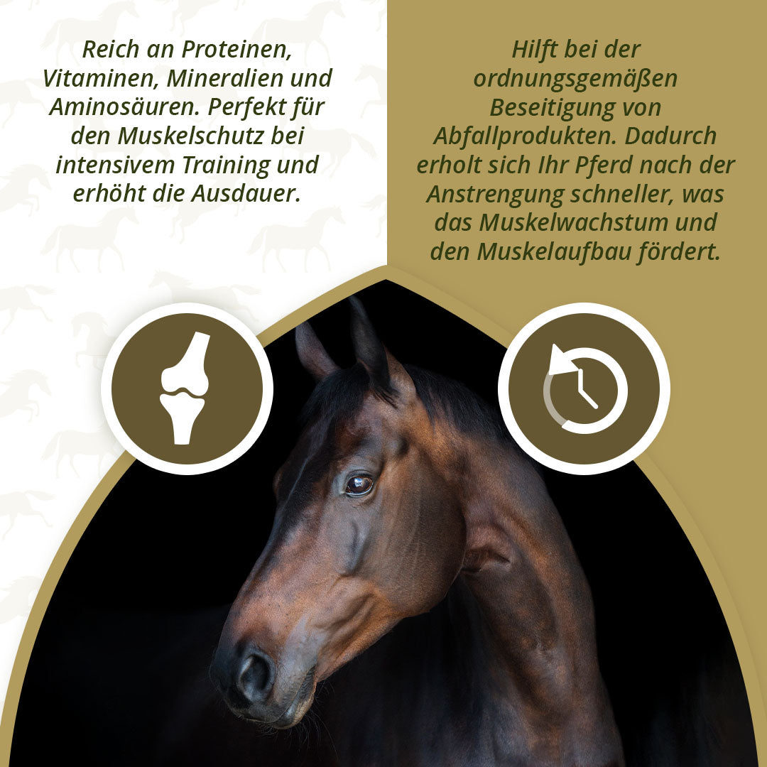 Excellent Horse Turbo 1 kg