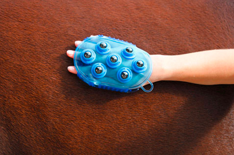Bürste magnet massage Blau