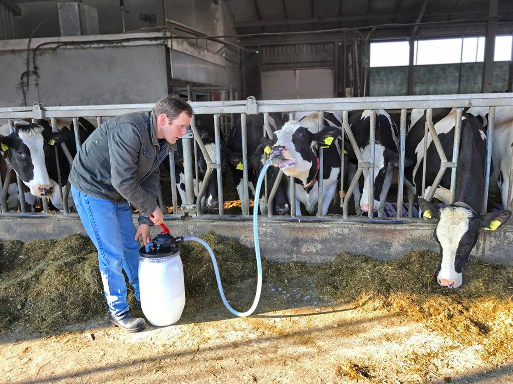Excellent Cow Drencher