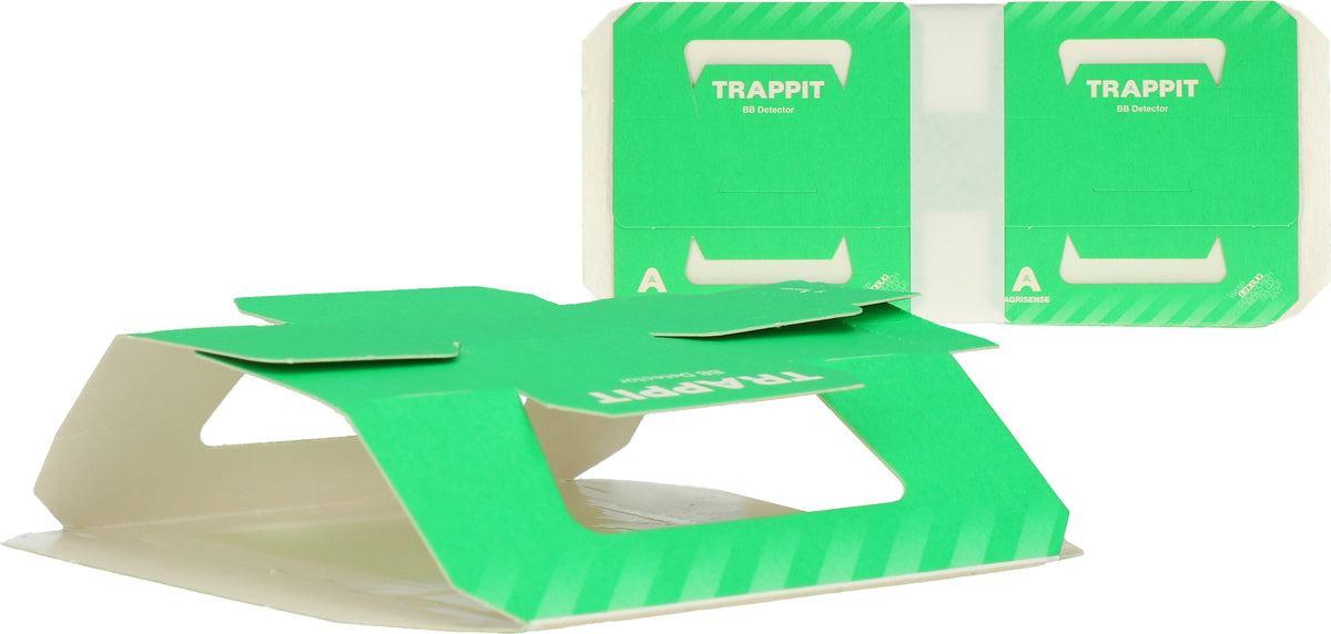 Bettwantze Monitor mit Pheromon