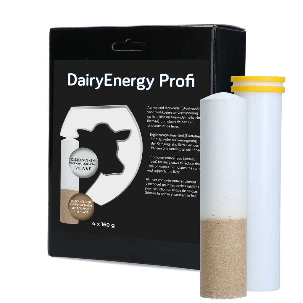 Dairy Energy Bolus 4 x 160 g