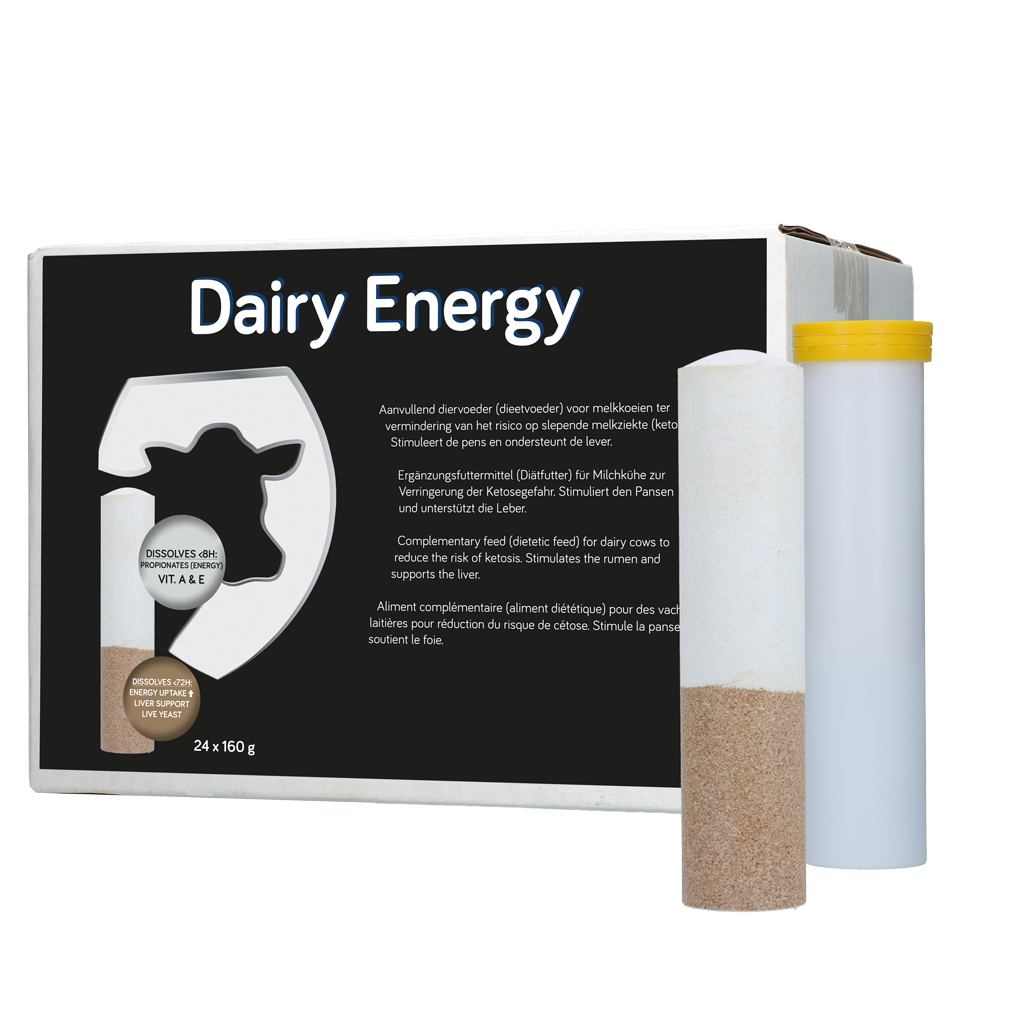 Dairy Energy Bolus 24 x 160 g