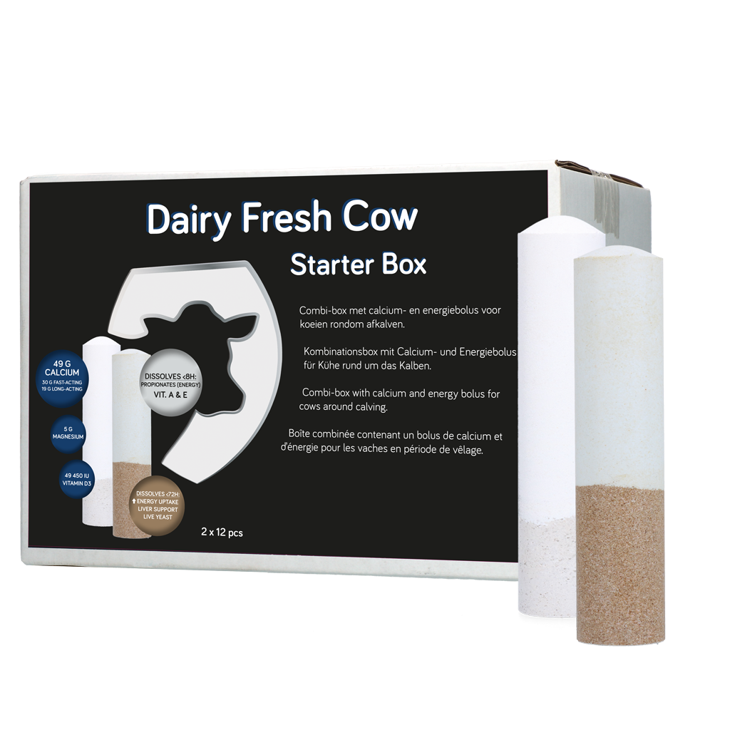 Dairy Fresh Cow Starter Box 2 x 12 Stück