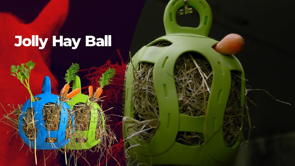 Jolly Hay Ball Grün