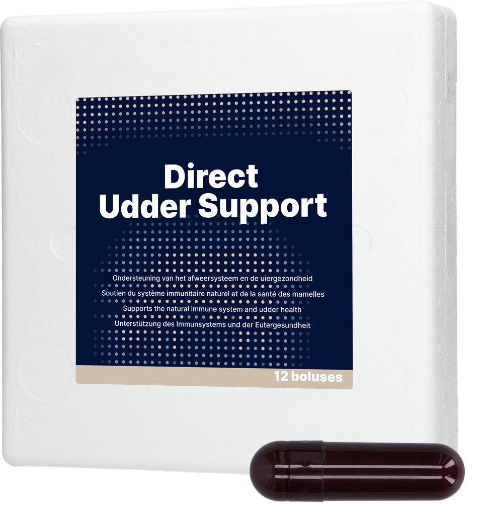 Direct Udder Support 12 x 60 g