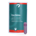 Excellent Ener Bolus Schaf & Ziege