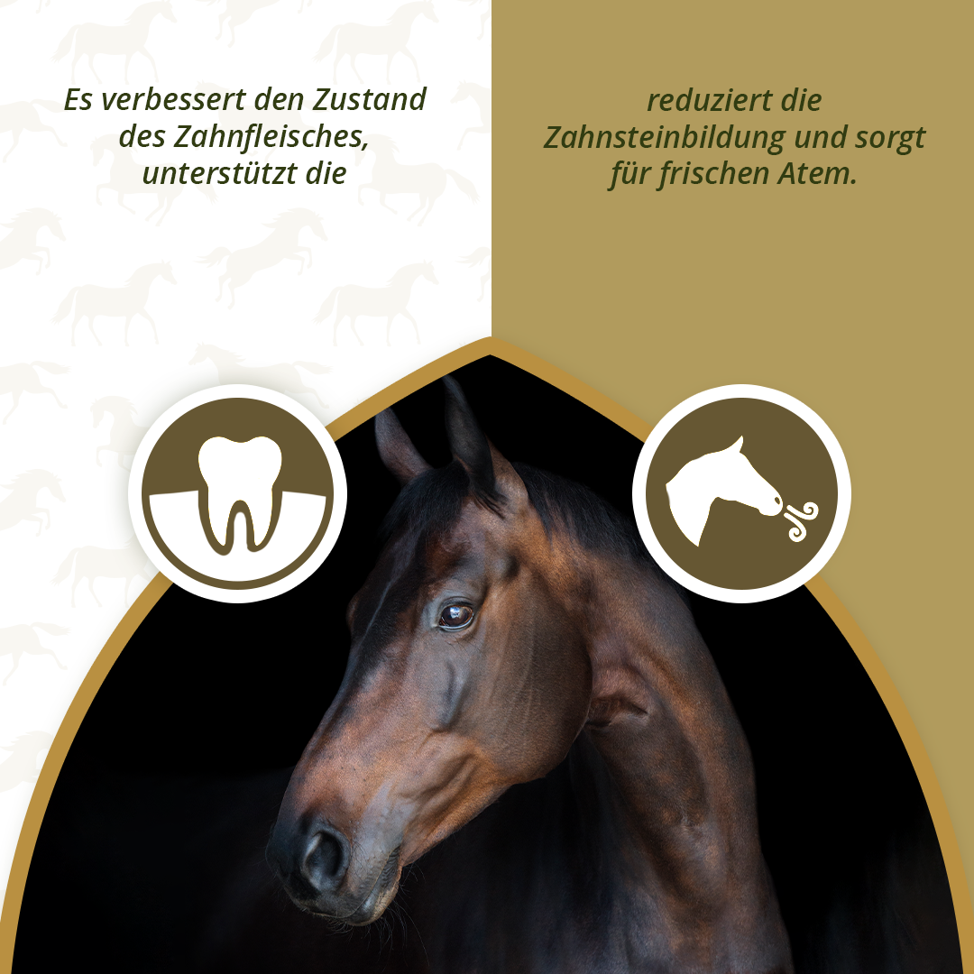 Excellent Horse Dental Care 1 kg