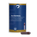 Excellent Euro-Vital Bolus 24 x 10 g