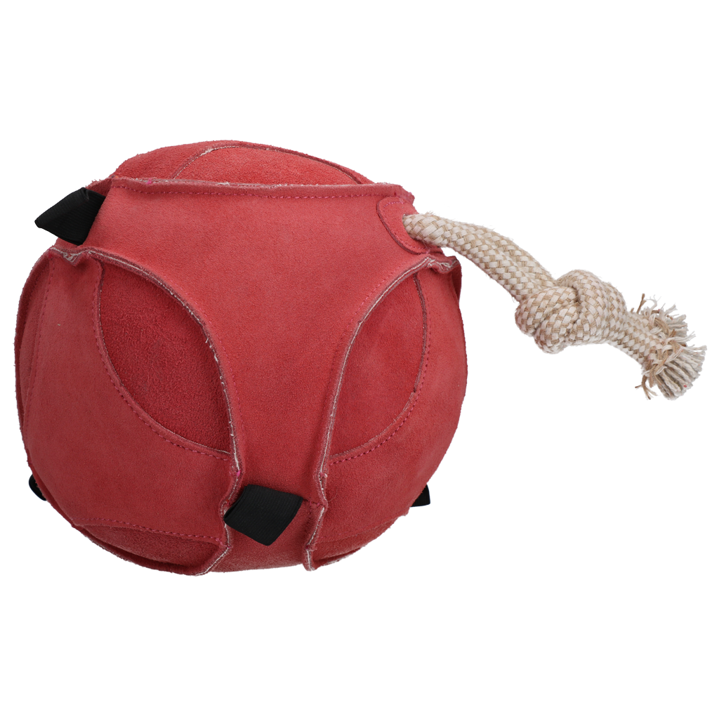 Excellent Horse Fun Play Ball Suede Rosa