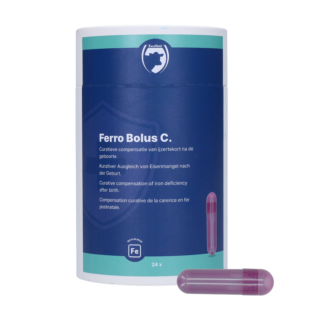 Excellent Ferro Bolus C 24 x 9,5 g