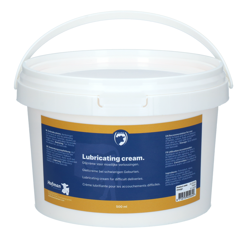 Excellent Gleitcreme 500 ml