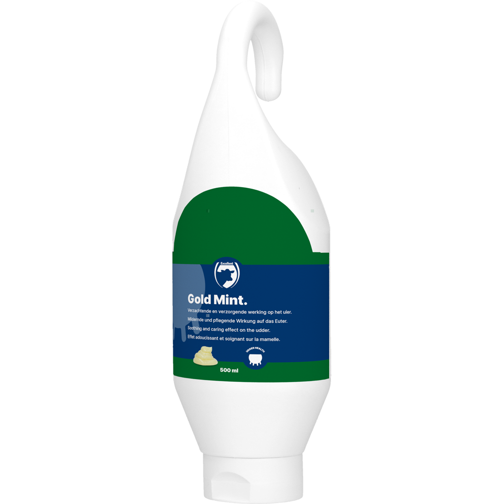 Excellent Gold Mint Steh- und Hängeflasche 500 ml