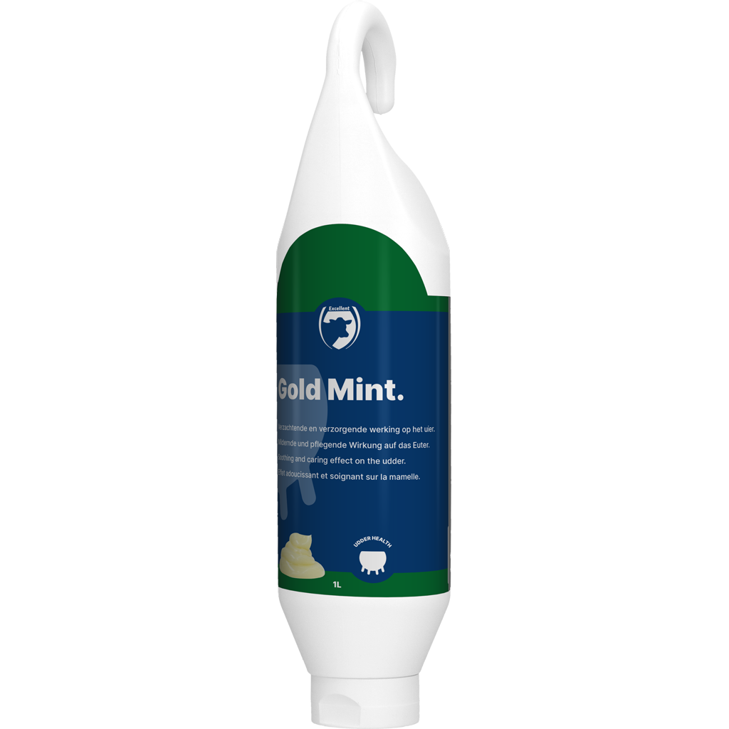 Excellent Gold Mint Steh- und Hängeflasche 1 l