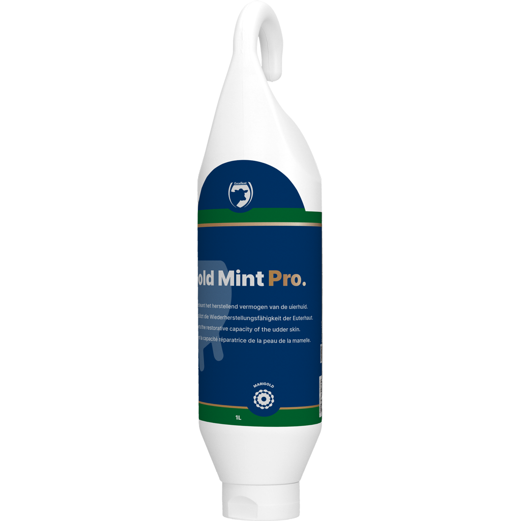 Excellent Gold Mint Pro Steh- und Hängeflasche 1 l