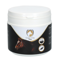 Excellent Horse Green Clay Paste 500 g