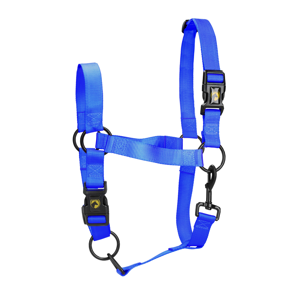 Excellent Essential Halfter Blau S
