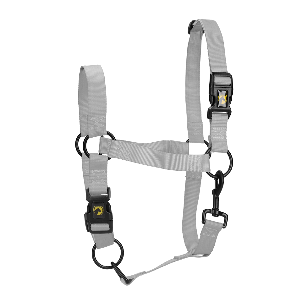 Excellent Essential Halfter Grau L