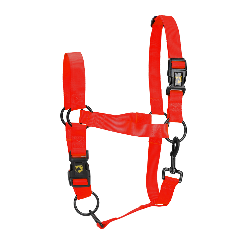 Excellent Essential Halfter Rot XL