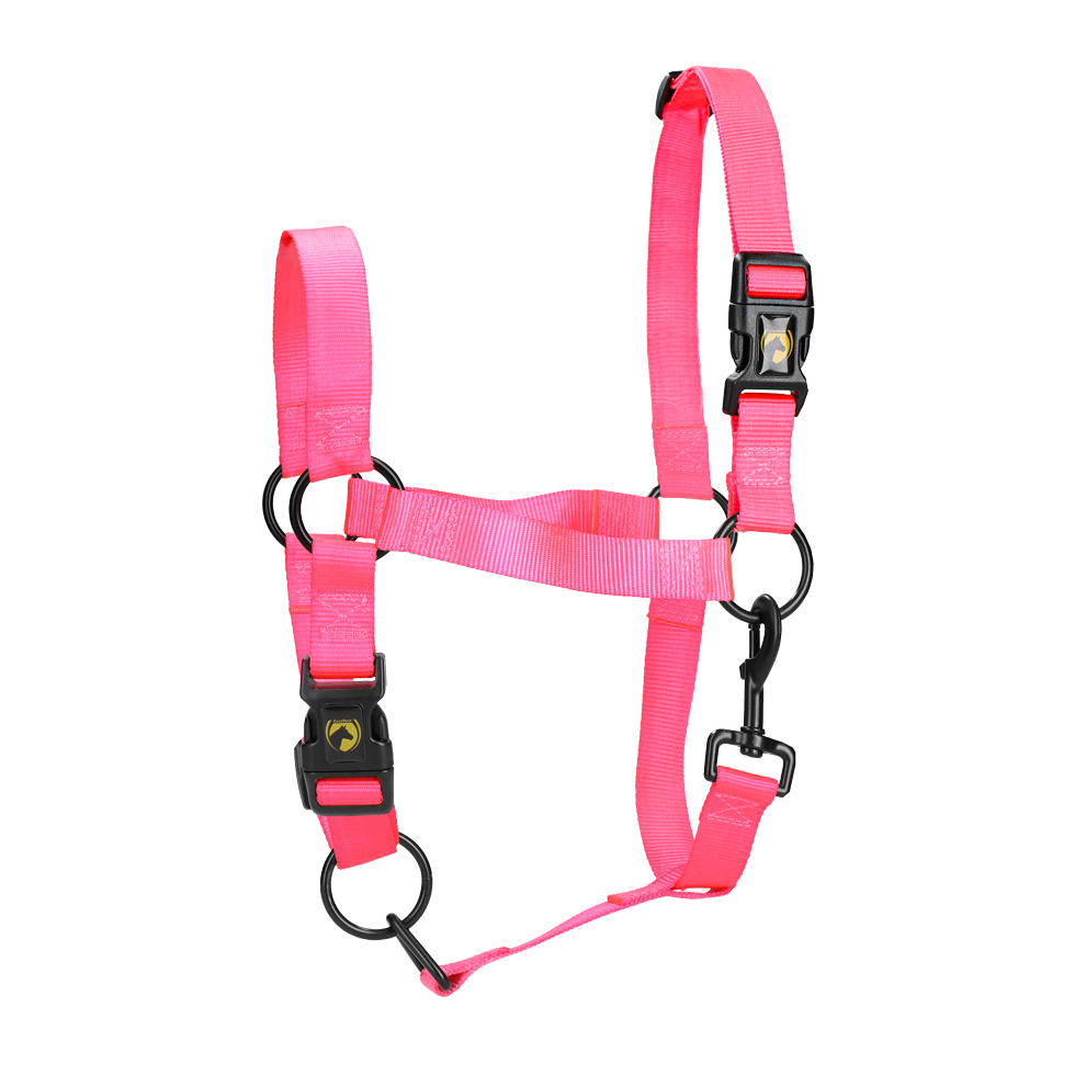 Excellent Essential Halfter Rosa XL
