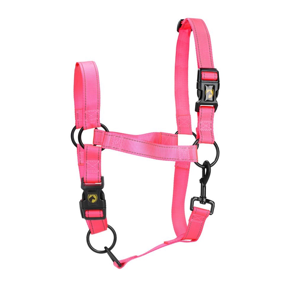 Excellent Premium Halfter Rosa XS