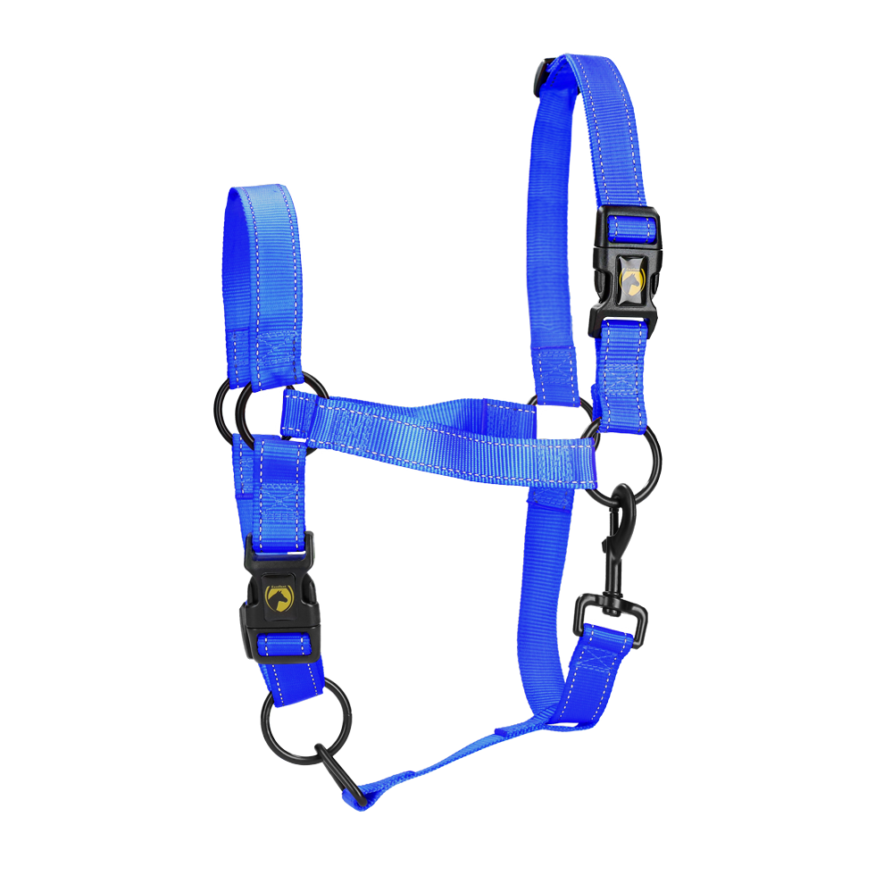 Excellent Premium Halfter Blau XL