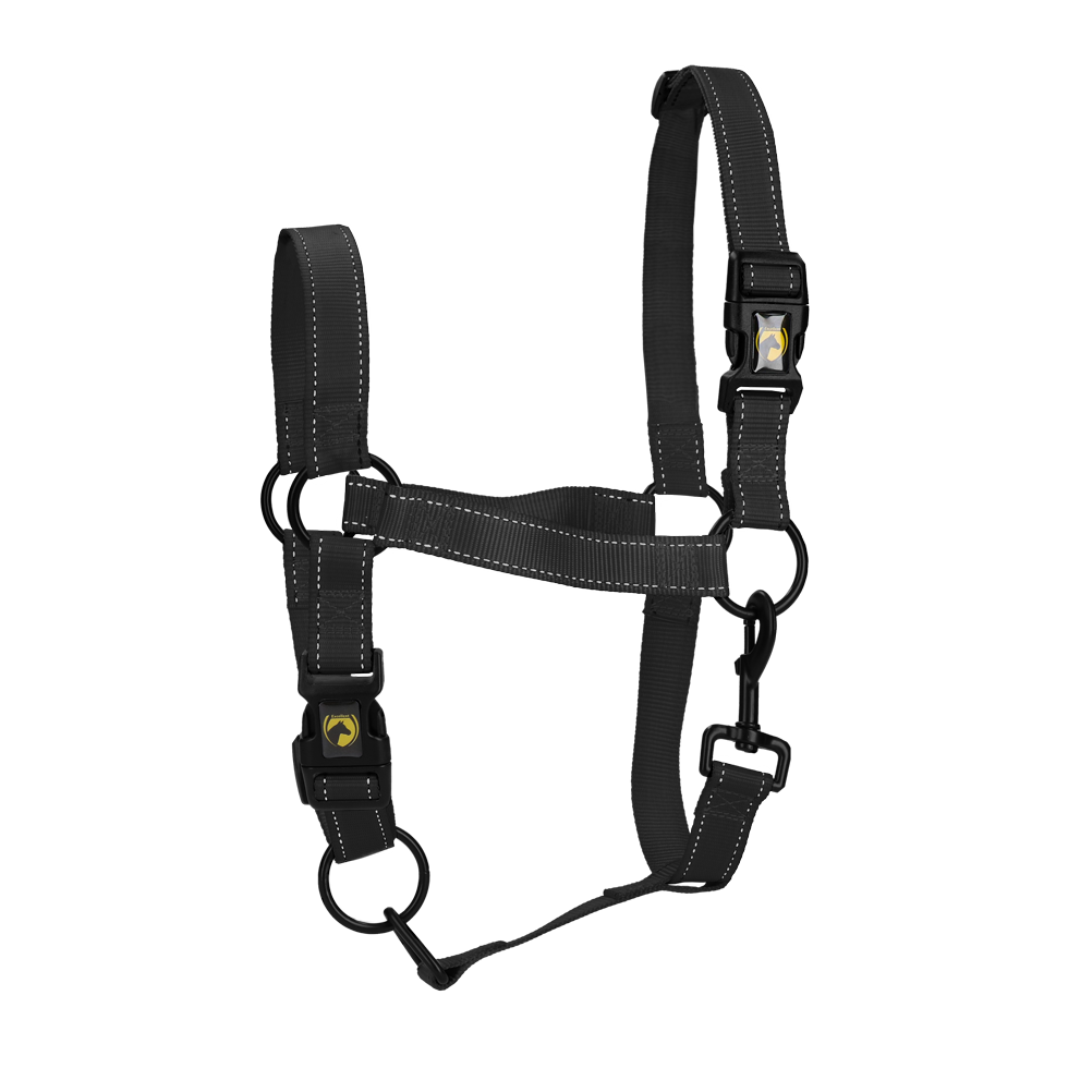 Excellent Premium Halfter Schwarz XL