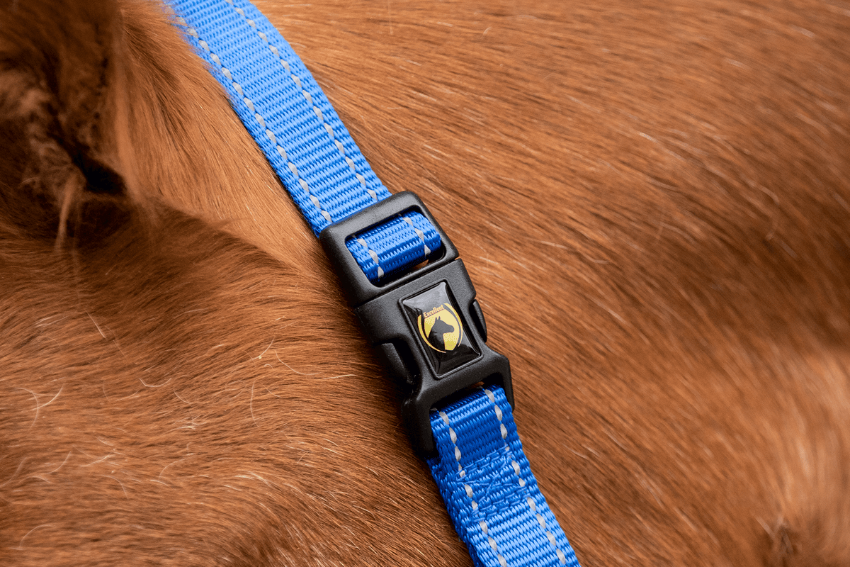Excellent Superior Halfter Blau XS