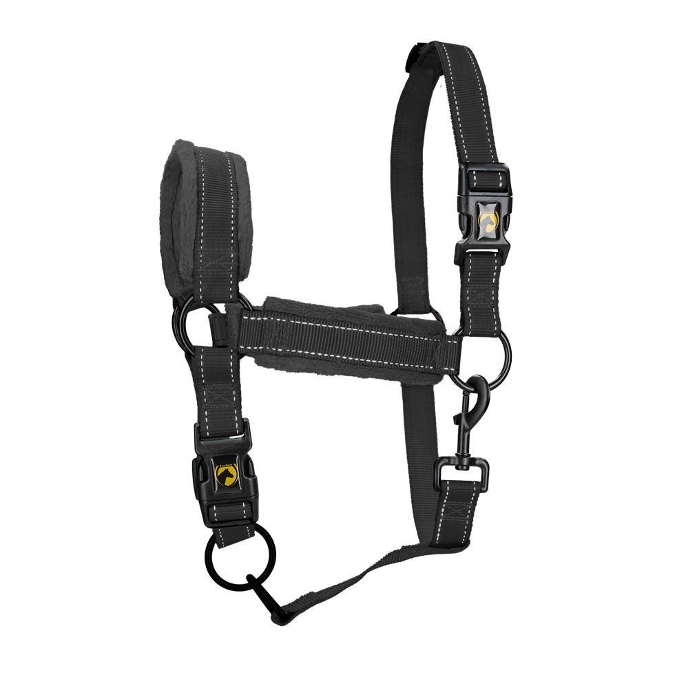 Excellent Superior Halfter Schwarz L