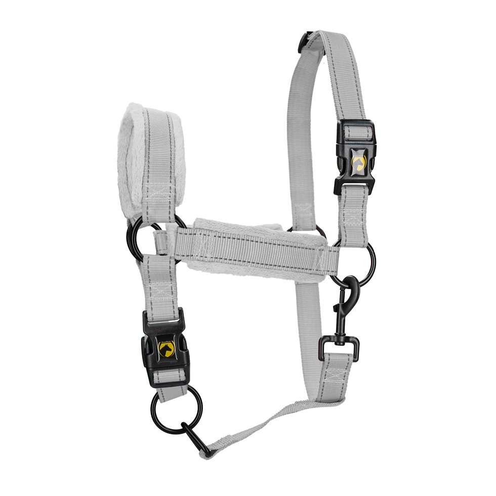 Excellent Superior Halfter Grau L