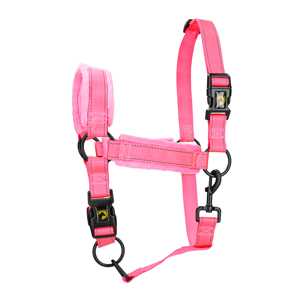 Excellent Superior Halfter Rosa L