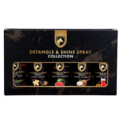 Detangle & Shine Spray Geschenkset 5 x 50 ML