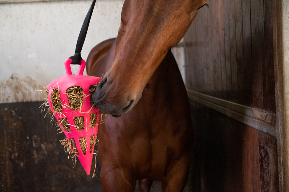 Hay Slow Feeder Fun & Flex Carrot Rosa