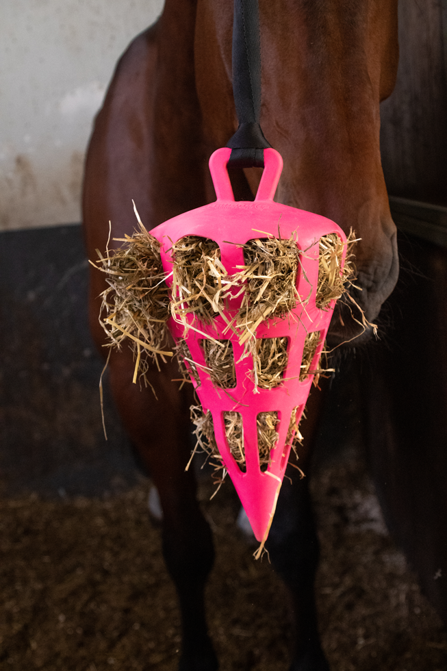 Hay Slow Feeder Fun & Flex Carrot Rosa