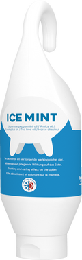 Ice Mint Gel steh und hangeflasche 500 ml