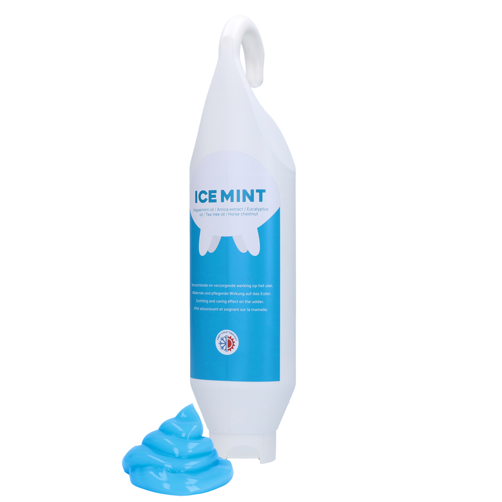 Ice Mint Gel Steh und hangeflasche 1 l