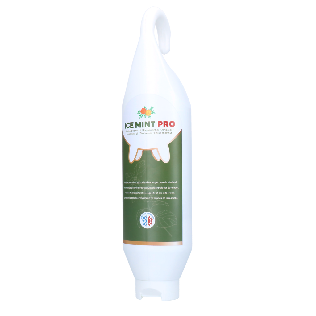 Ice Mint Pro Gel Steh- u. Hängeflasche 1 l