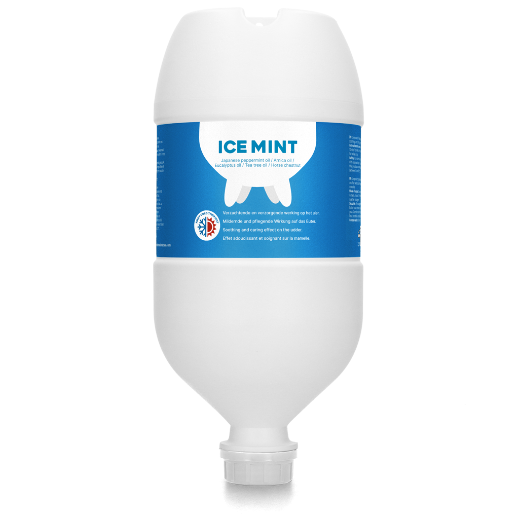 Ice Mint Gel 2,5 l