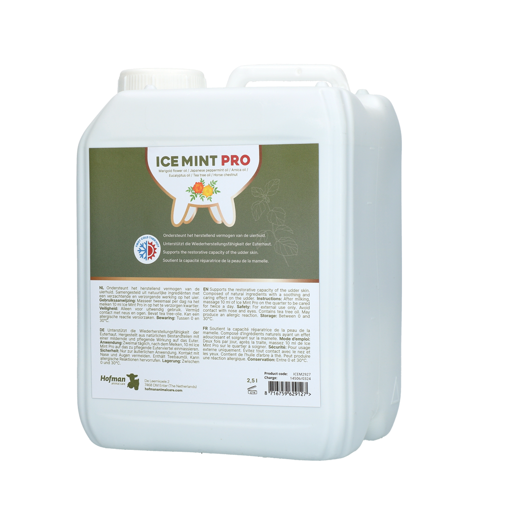 Ice Mint Pro Gel 2,5 l mit Dosierpumpe