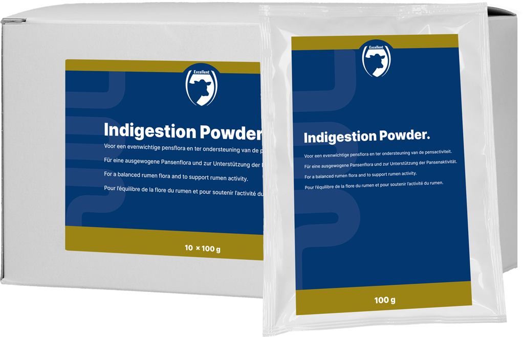 Excellent Indigestion Pulver 10 x 100 g