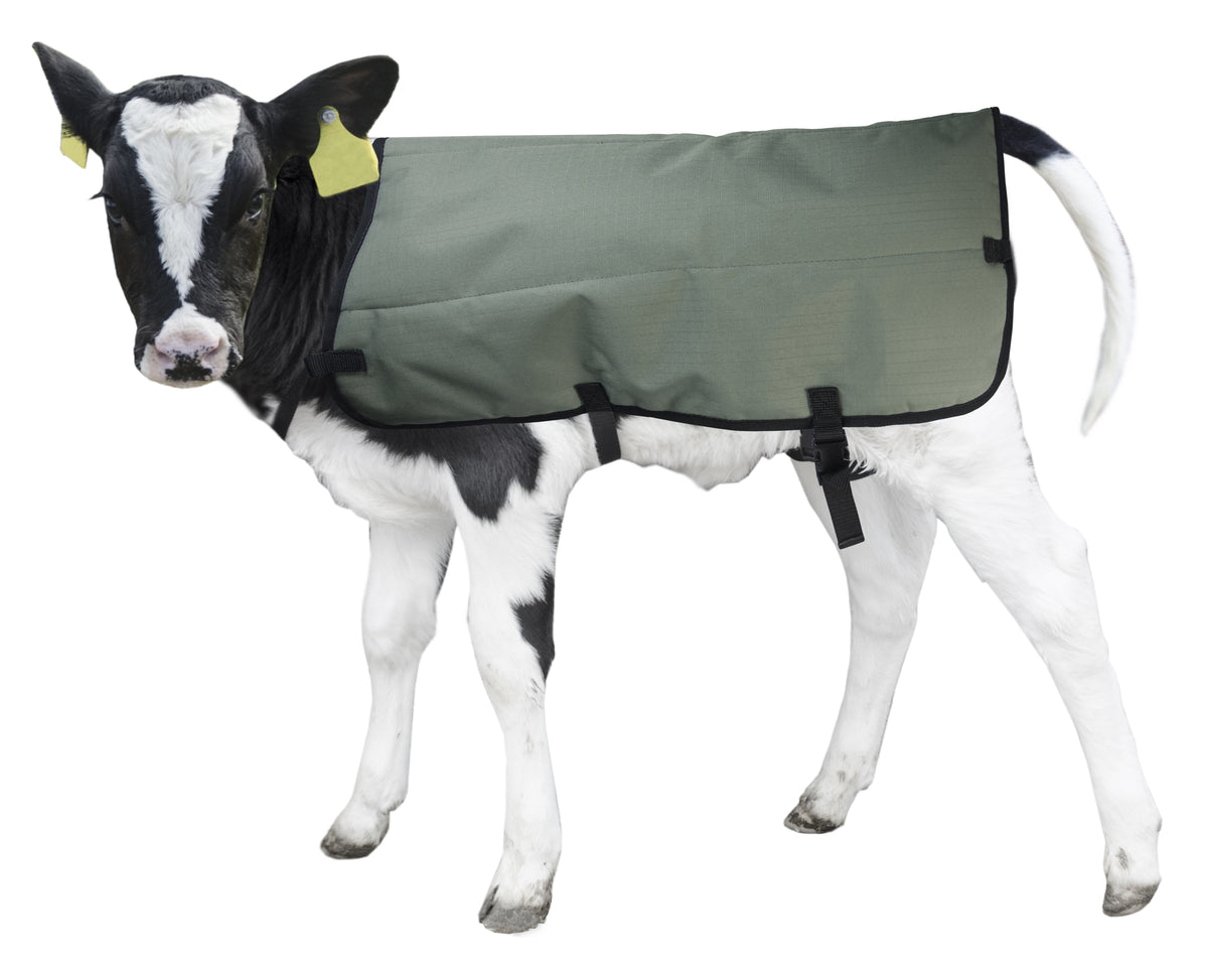 Calf Coat Kälberdecke (Private Label) 70 cm