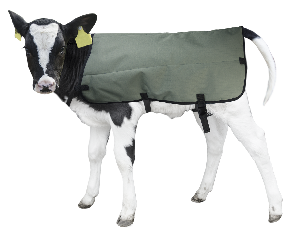 Calf Coat Kälberdecke 70 cm