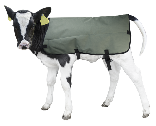 Calf Coat Kälberdecke 80 cm