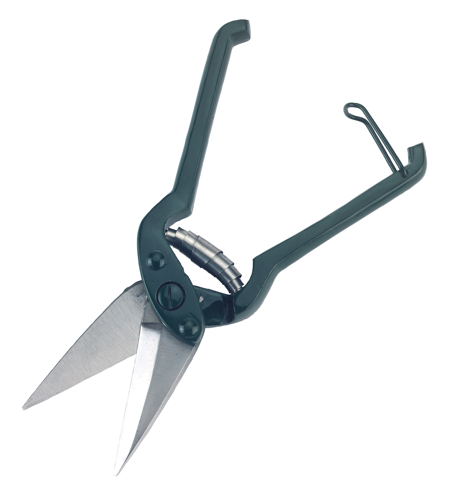 Klauenschere Schaf