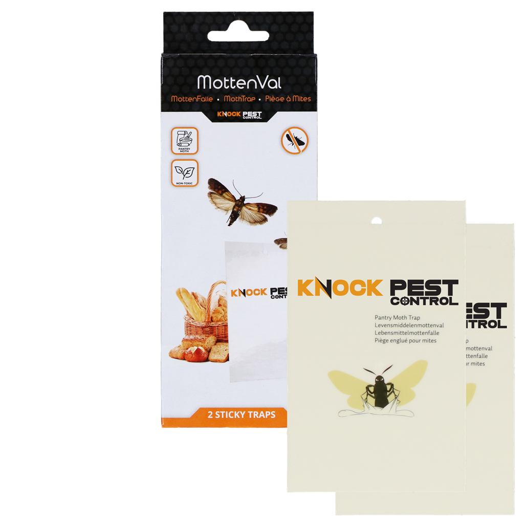 Knock Pest Lebensmittelmottenfalle Flach