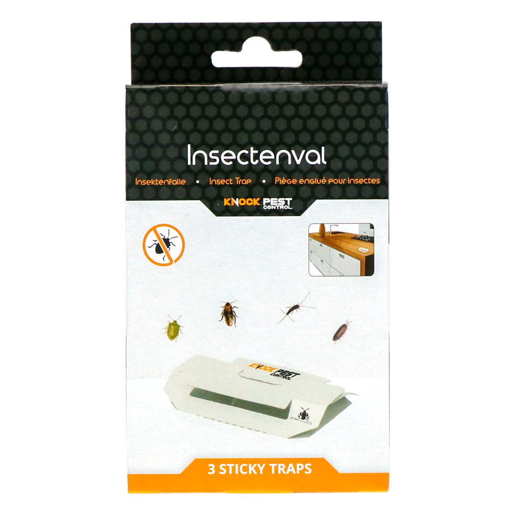 Knock Pest Insektenfalle Klein